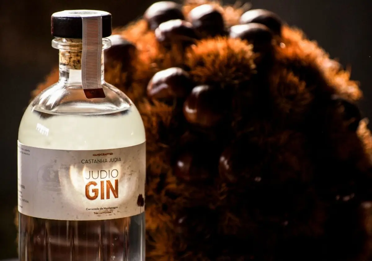 Imagem de contexto do artigo Castanha judia para beber em forma de gin