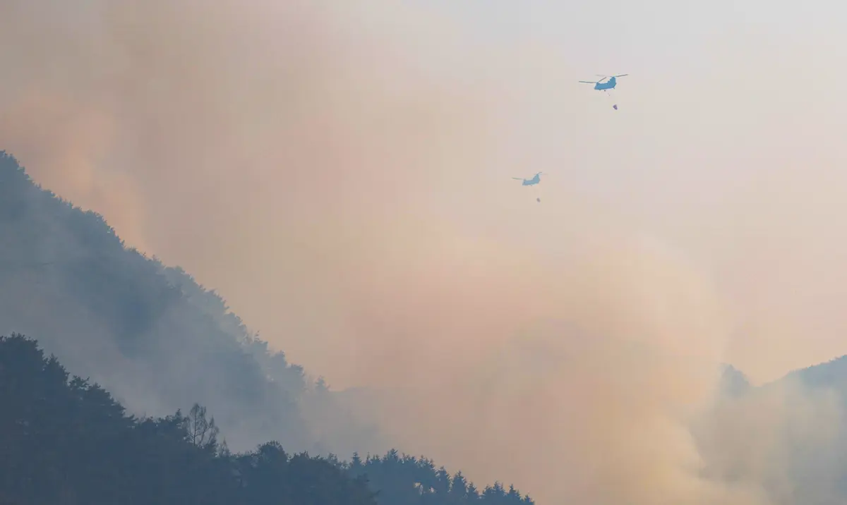 Imagem de contexto do artigo Dois bombeiros mortos em incêndio florestal na Coreia do Sul