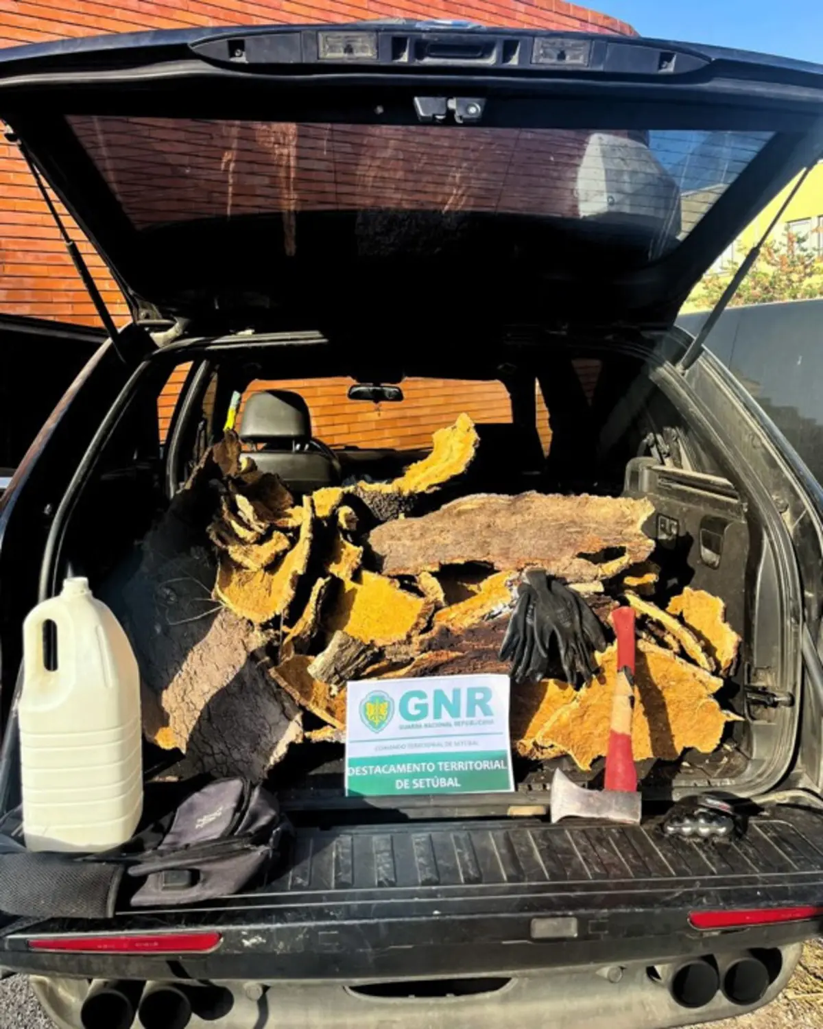 Guarda deteve homem suspeito de furto de cortiça