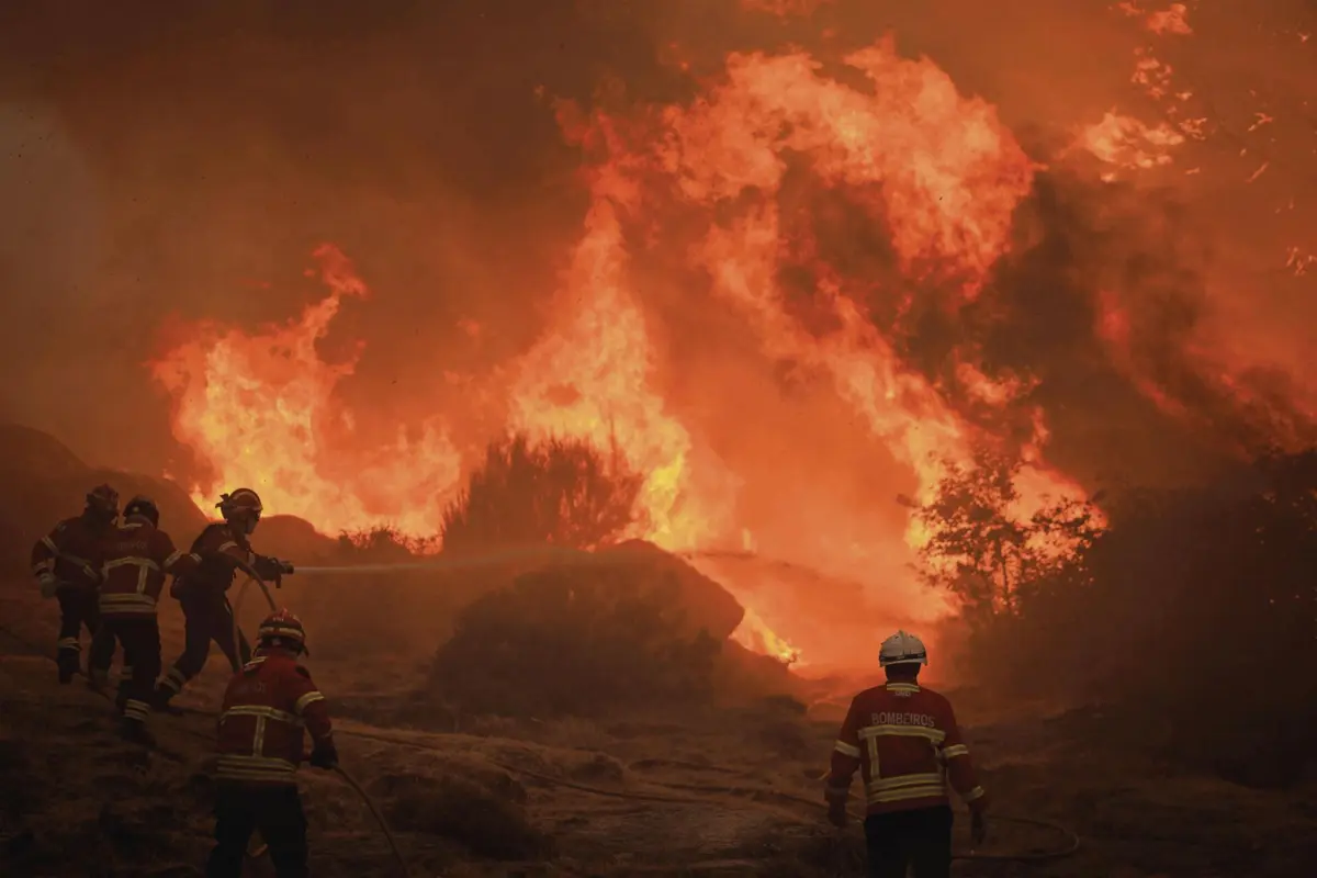 Durante o verão, ocorreram 44 incêndios com mais de 500 hectares de área ardida
