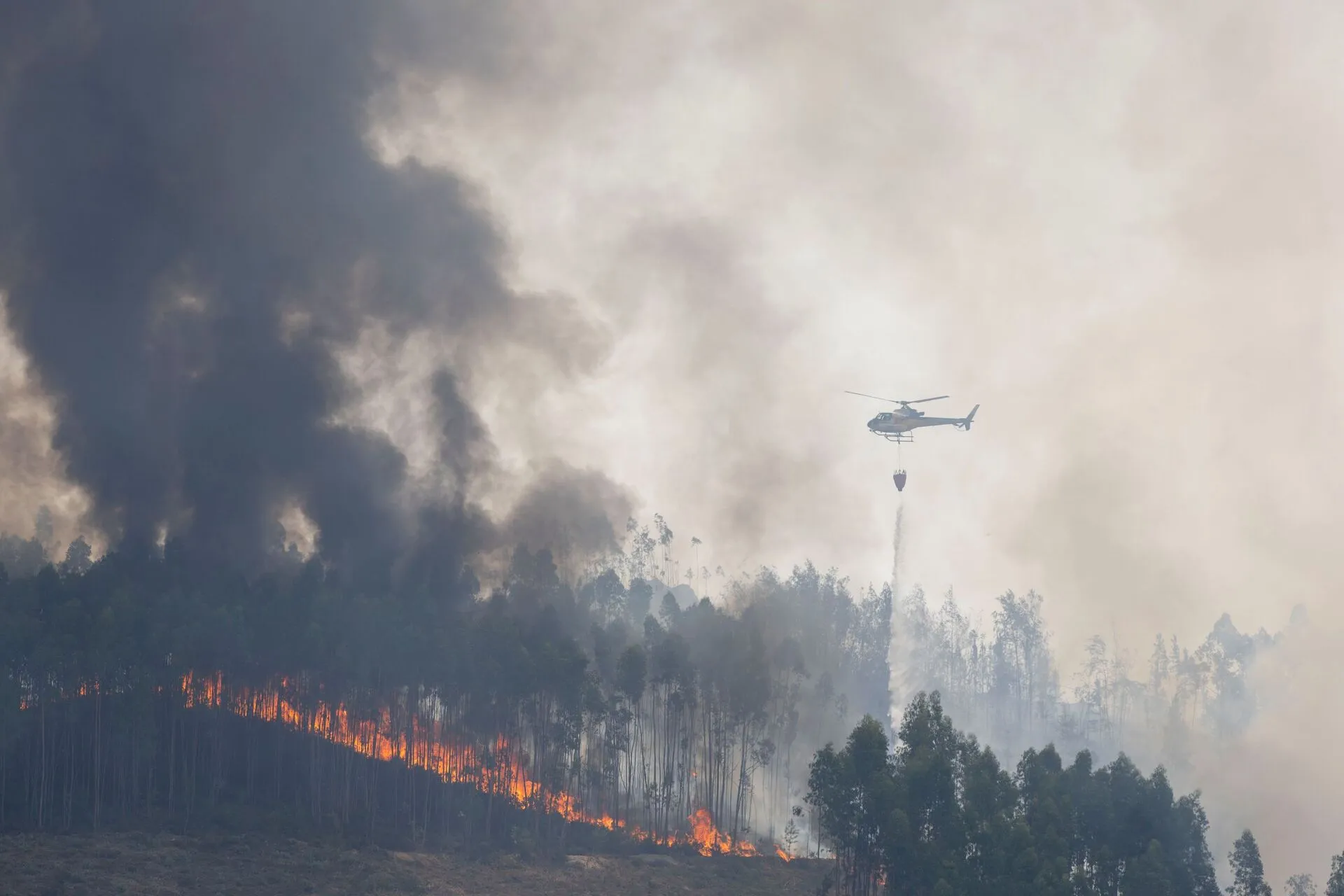 Wildfire Threatens Homes Near Porto: Rio Mau and Melres on High Alert