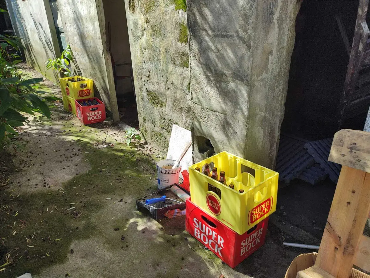 Casa onde pai em filho viviam sem condições de salubridade