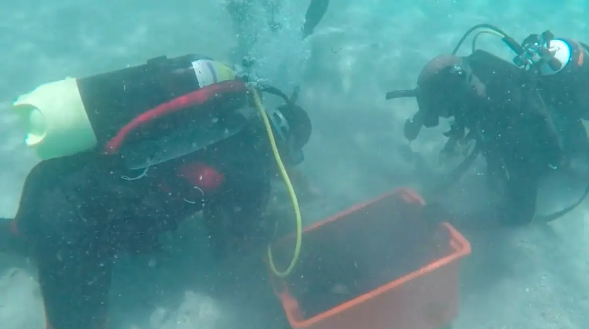 Especialistas estimam pelo peso a existência de entre 30 a 50 mil moedas