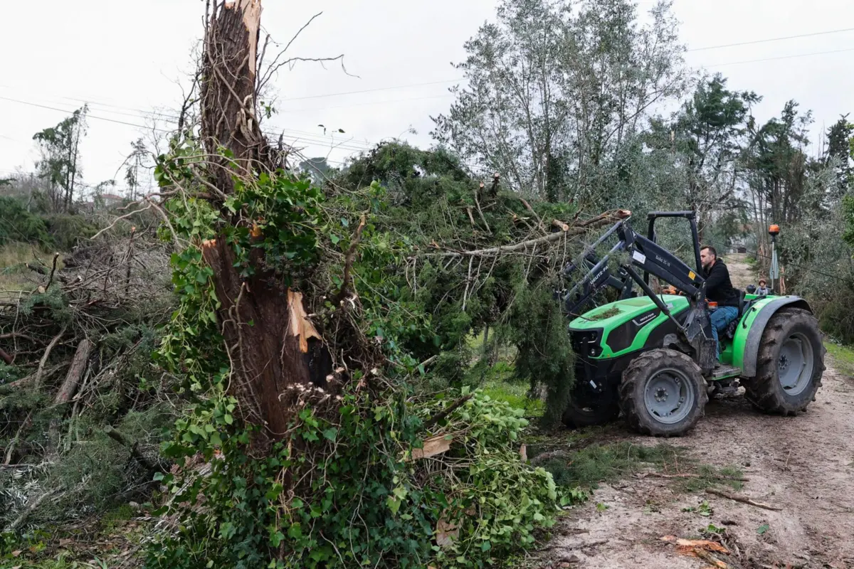 Imagem de contexto do artigo Sem contacto com a aldeia natal, Patriarca de Lisboa elogia resiliência de Ourém