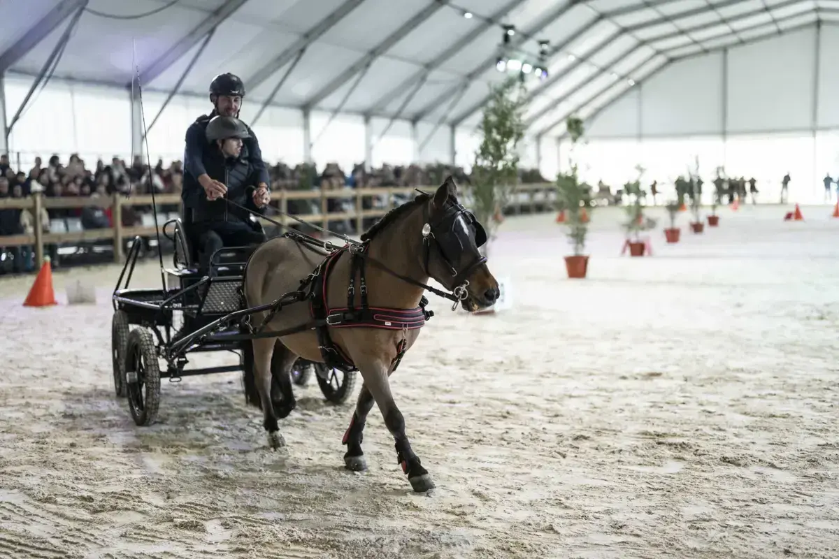 Os setores agrícola, pecuário, florestal e gastronómico estão em destaque, durante dez dias, na Agrovouga