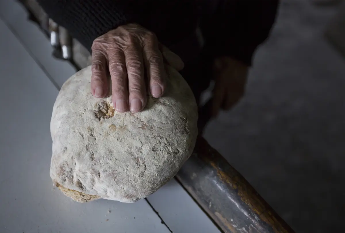 Pastoras, padeiras e agricultoras entre mulheres inscritas na rede