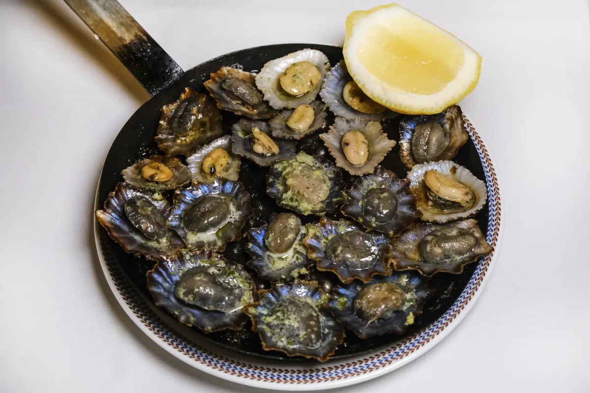 A proibição "é fixada para todos os ilhéus e áreas costeiras" da região autónoma, abrangendo todas as modalidades da apanha, incluindo a familiar