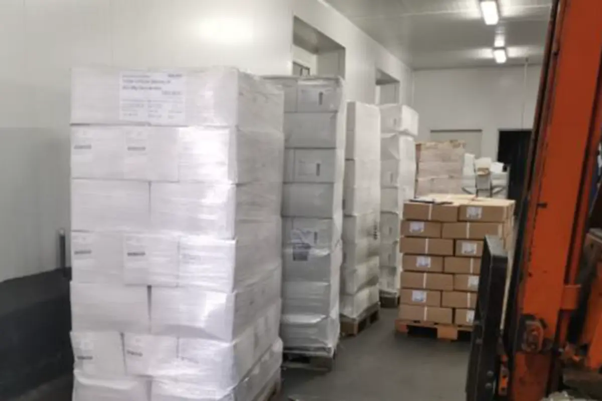 Imagem de contexto do artigo ASAE apreende sete toneladas de iogurtes, queijo, charcutaria e congelados em Aveiro e Viseu