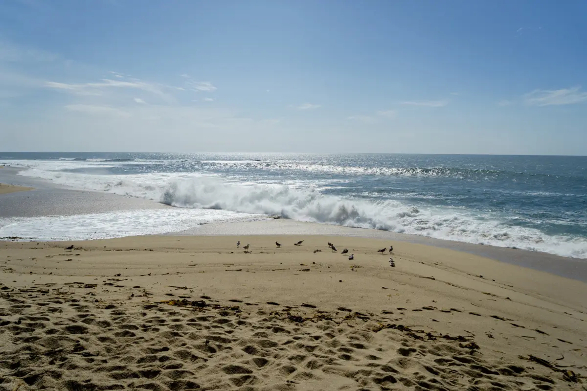 Imagem de contexto do artigo Cinco mortos nas praias portuguesas desde início da época balnear