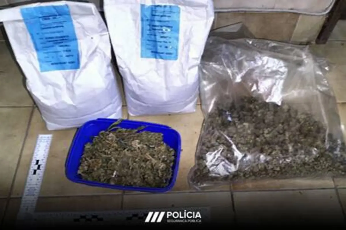 Imagem de contexto do artigo Jovem detido em Famalicão por suspeitas de tráfico de droga e furto