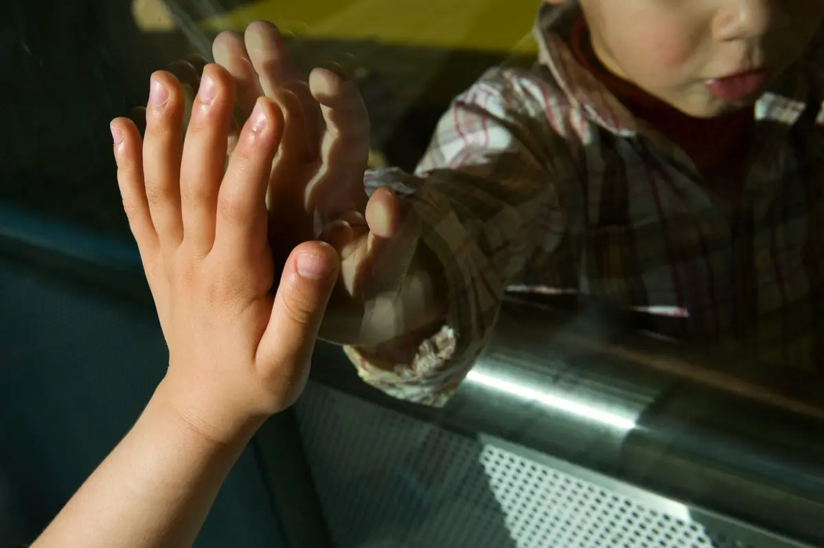 Entrega dos menores ao avô foiproposta pela CPCJ e validada pelo tribunal