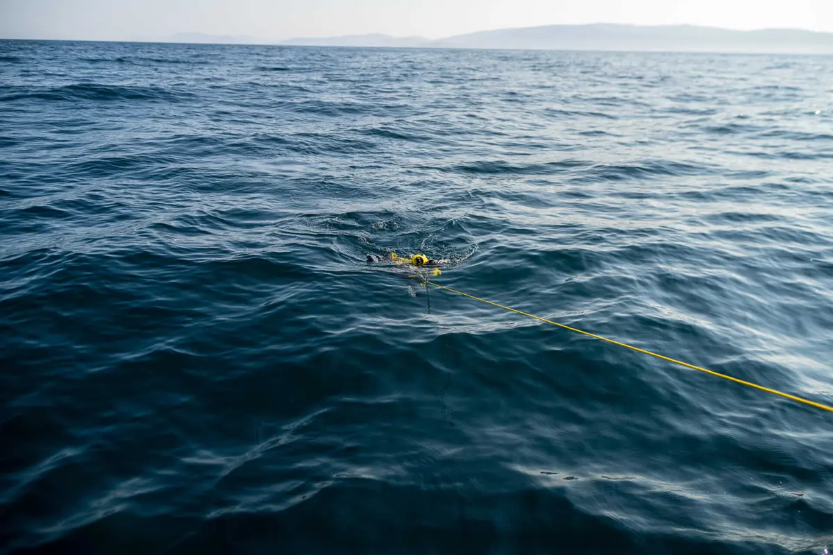 O oceano profundo tem diversos ecossistemas