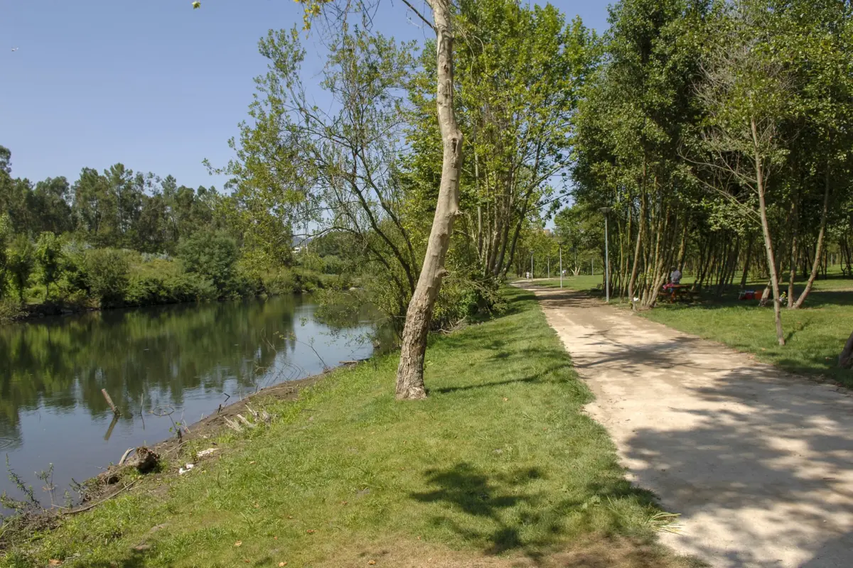 Ecovia do Ave atravessará 26 freguesias de Guimarães