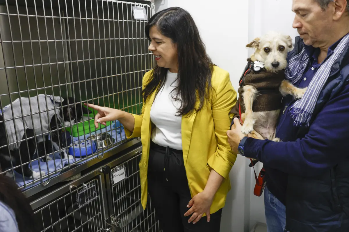 Campanha do PAN em Lisboa