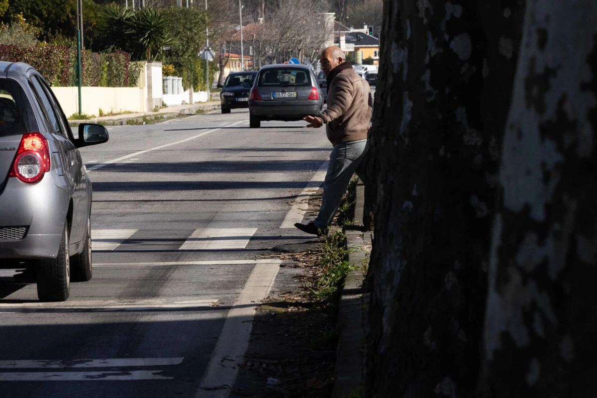 Por causa das árvores, condutores não conseguem ver os peões