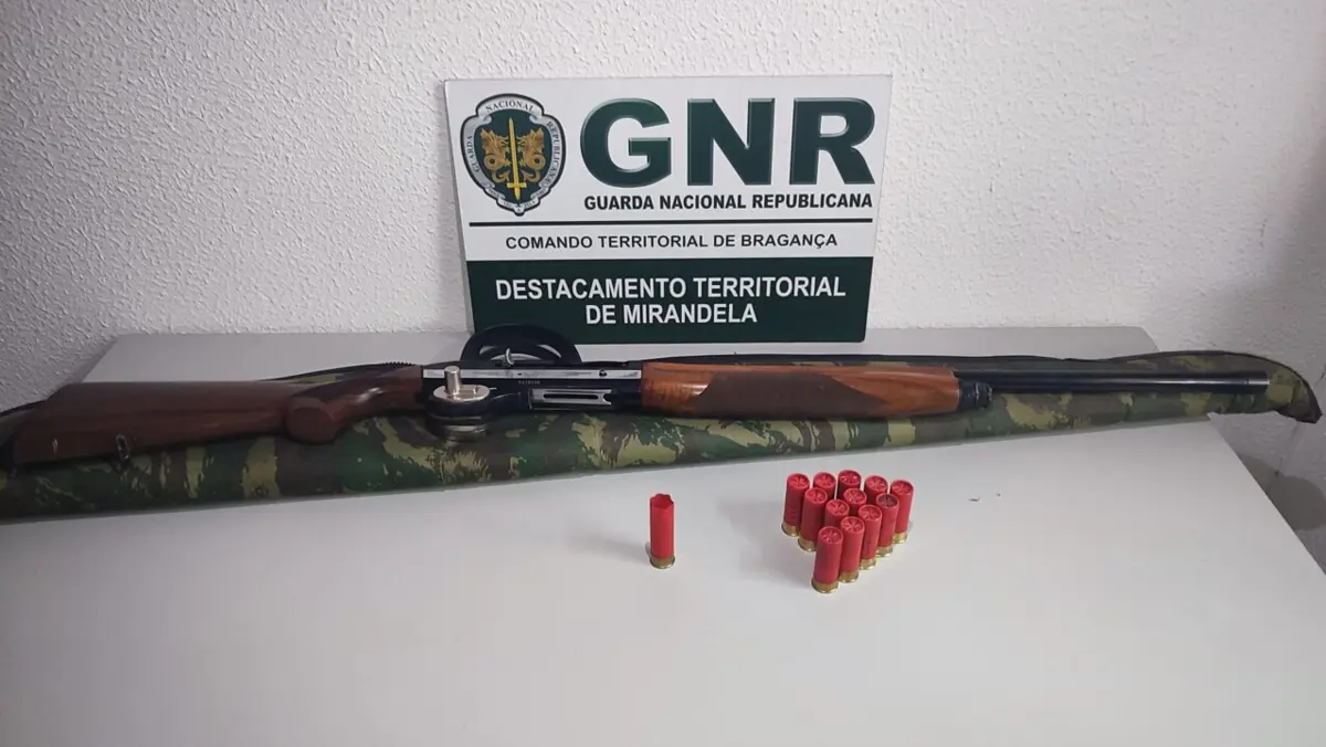 Imagem de contexto do artigo Detido por caçar em terrenos proibidos em Mirandela