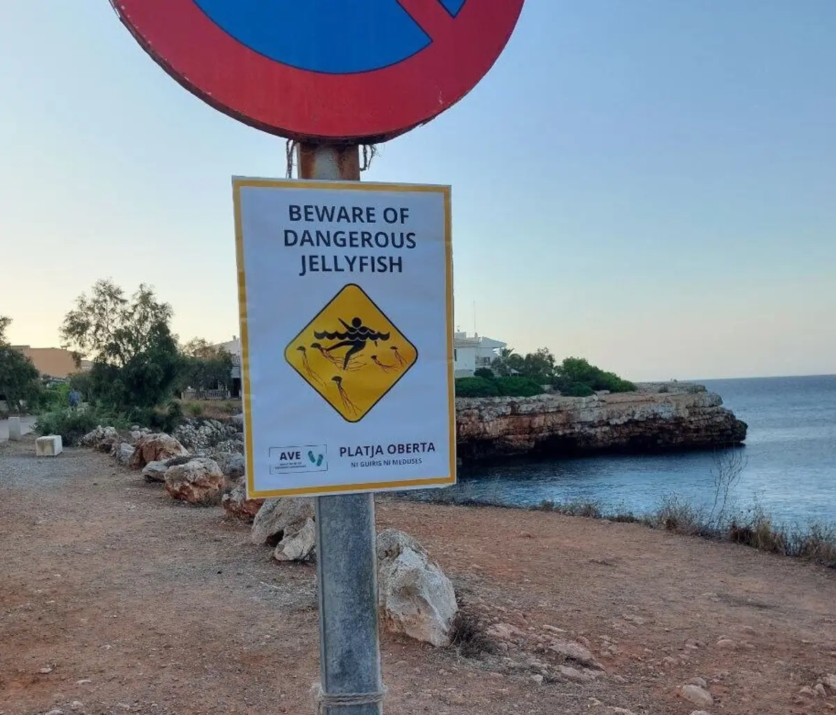 Imagem de contexto do artigo Ativistas afugentam turistas das praias populares de Maiorca com cartazes falsos