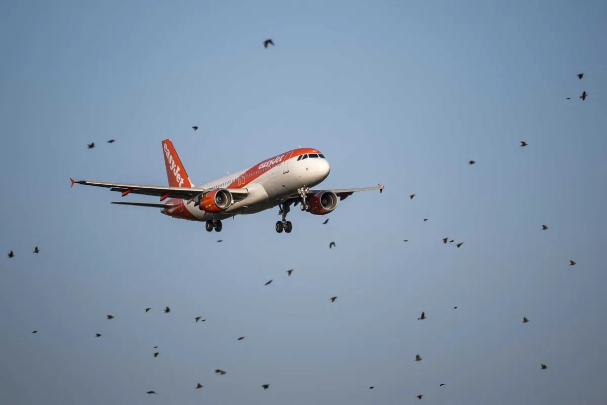 Imagem de contexto do artigo Copiloto da Easyjet desmaia durante voo entre Londres e Lisboa