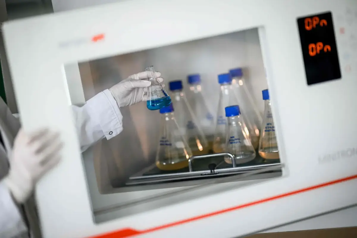 Investigação automatiza amostras recolhidas através do teste de Papanicolau