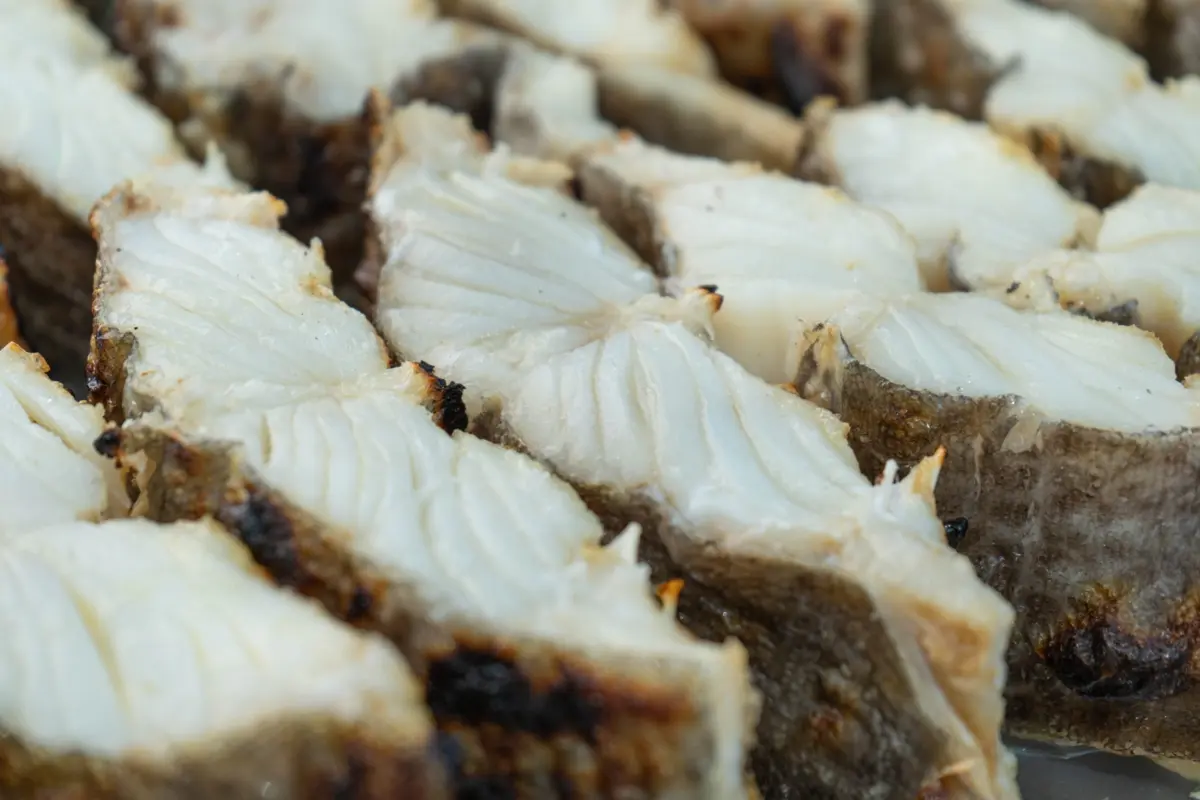 Imagem de contexto do artigo Festival do Bacalhau: cinco dias para celebrar o mar e as tradições locais