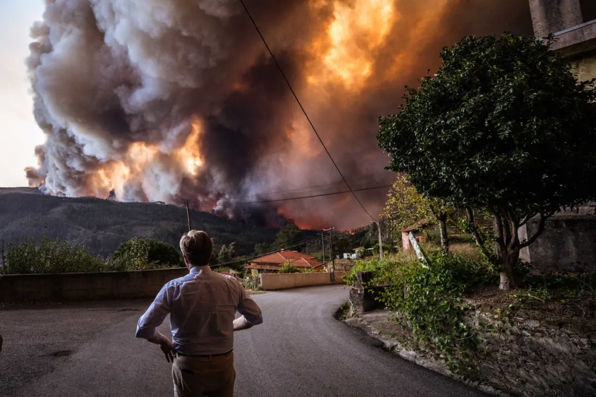 Incêndio em Albergaria-a-Velha