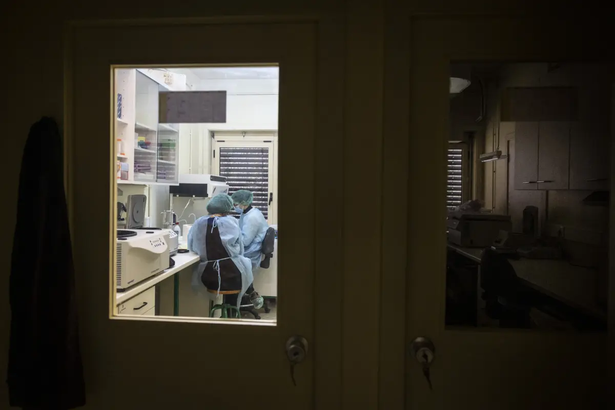 Número total de utentes inscritos no SNS aumentou mais de 522 mil entre setembro de 2016 e setembro de 2025