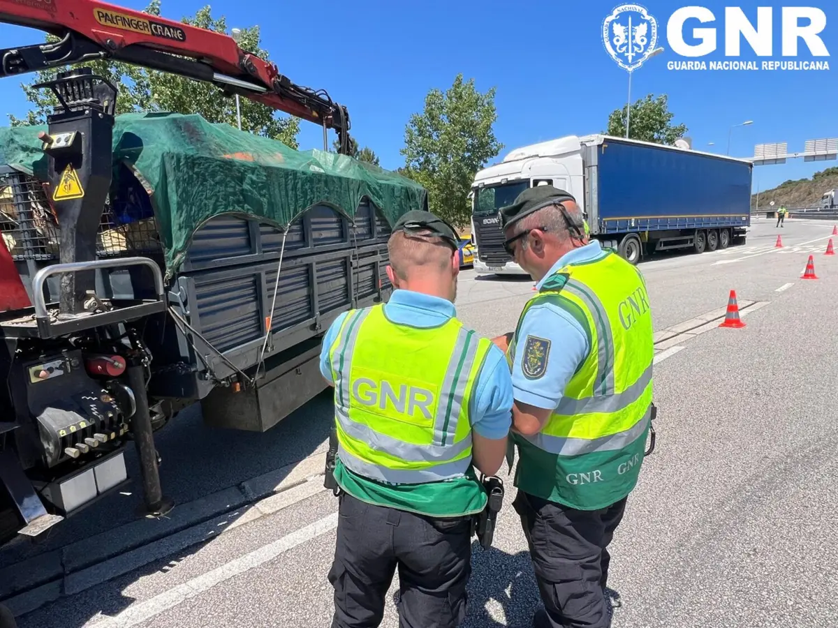 Operação decorreu na área de serviço da A23