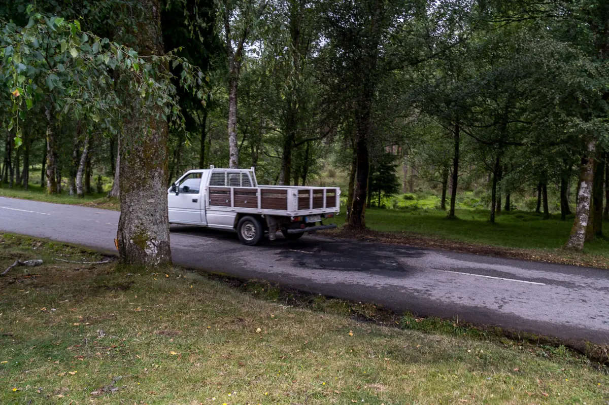 Em Melgaço, morreram quatro jovens num despiste