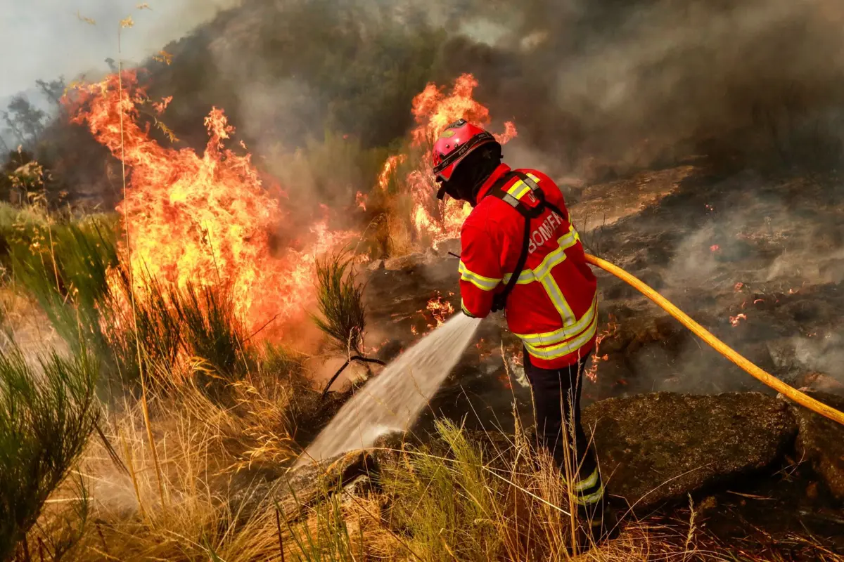 Pelas 20.30 horas, o incêndio era combatido por 241 operacionais