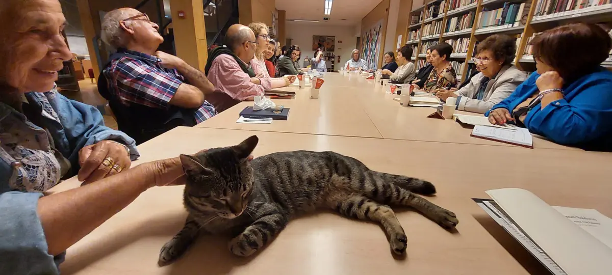 Imagem de contexto do artigo Clubes de leitura. O amor aos livros, partilhado e debatido