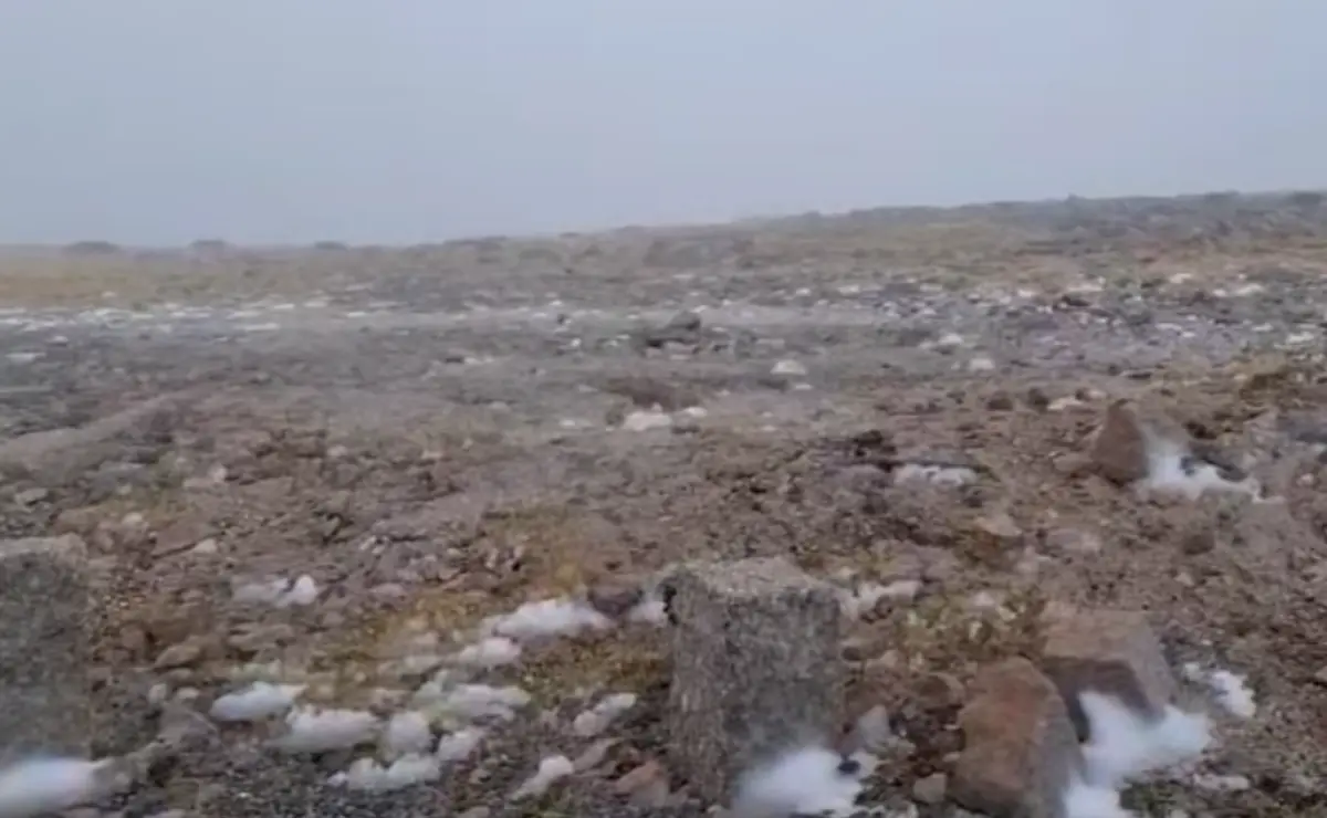 Imagem de contexto do artigo Já neva na Serra da Estrela: veja as imagens