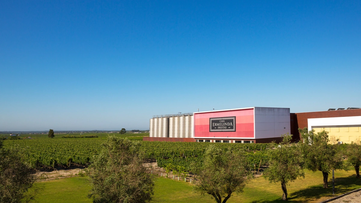 Imagem de contexto do artigo Dona Ermelinda: faz parte da sua vida