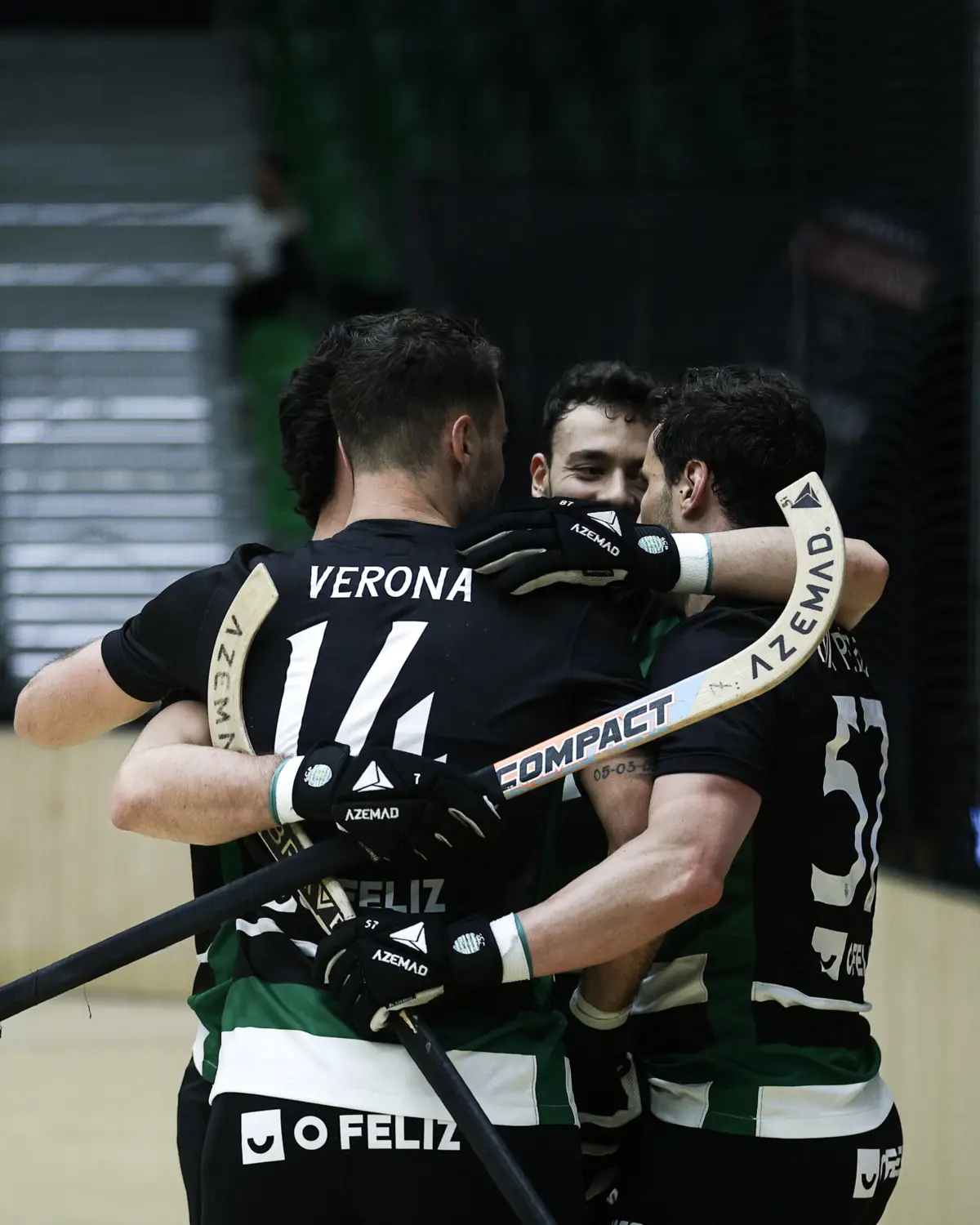 Leões estão nas "meias"