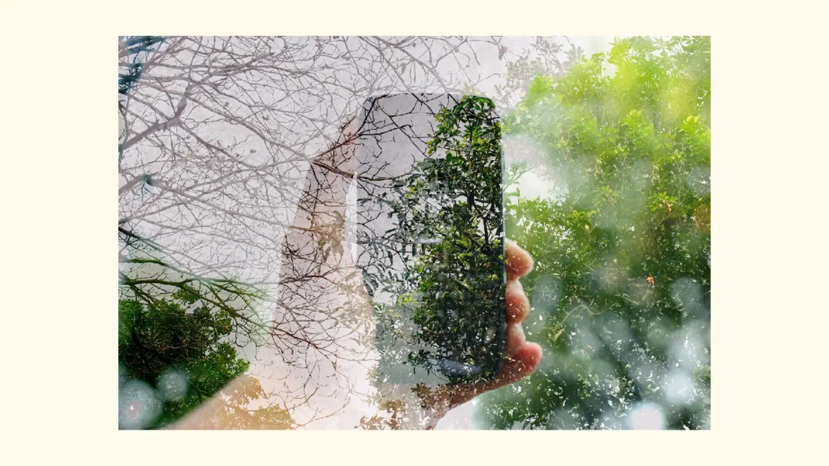 Imagem de contexto do artigo Sabia que mais de 700.000 clientes iServices ajudaram o planeta em 2024?