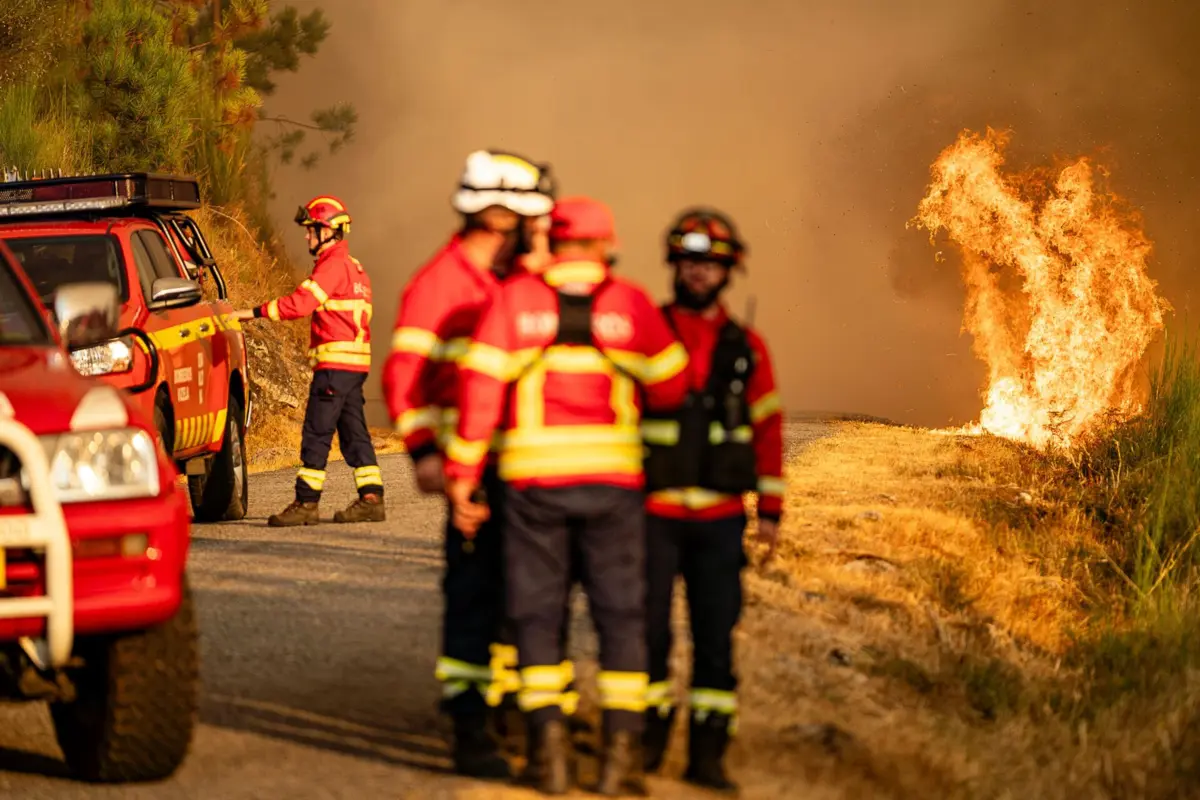 No combate ao fogo estão sete meios aéreos, três máquinas de rasto e 402 operacionais com 131 veículos