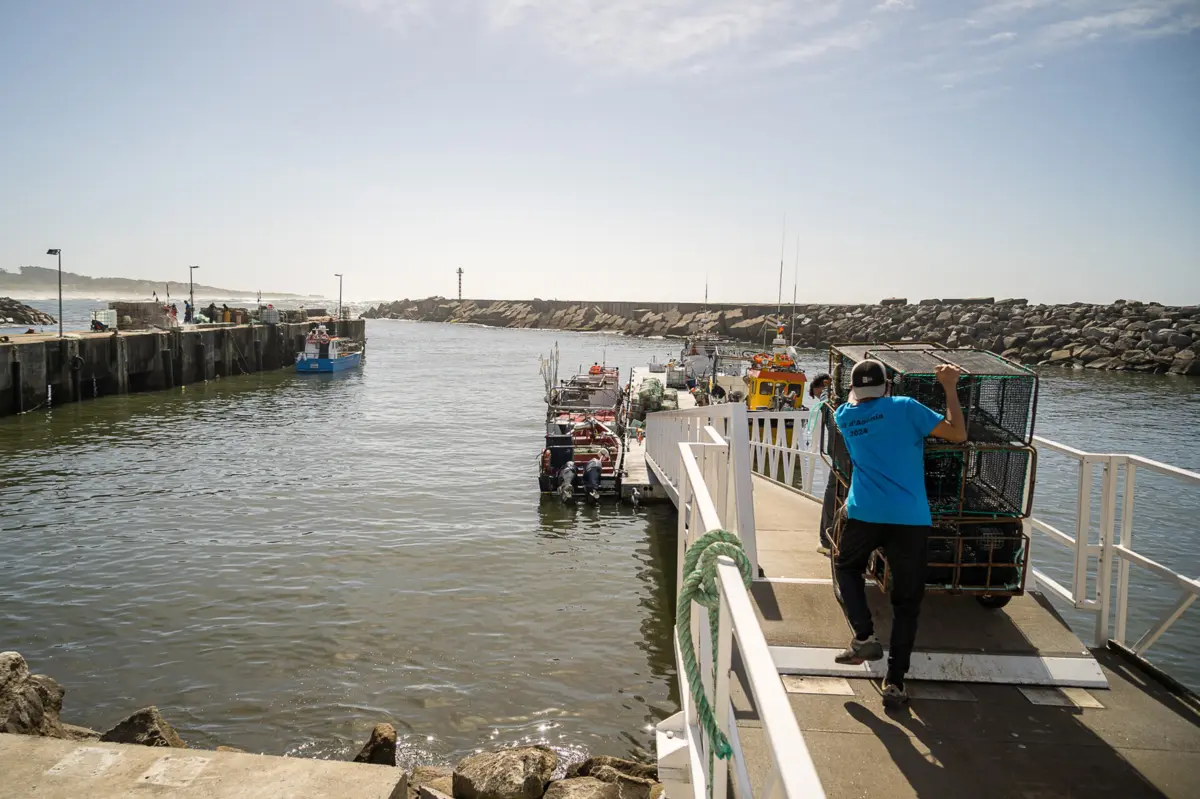 Pescadores assinalaram degradação das condições de operacionalidade em Vila Praia de Âncora