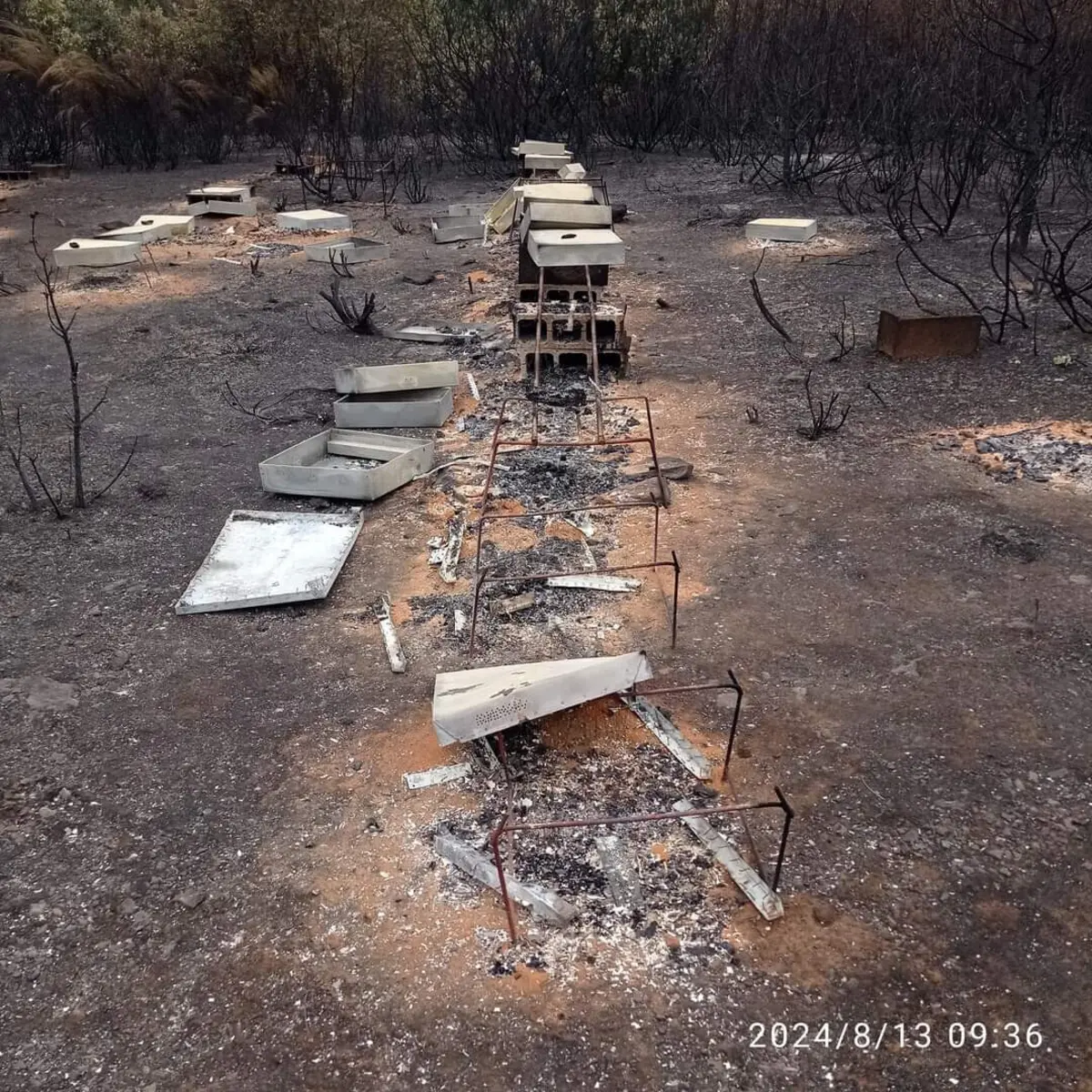 Apiários foram destruídos pelas chamas