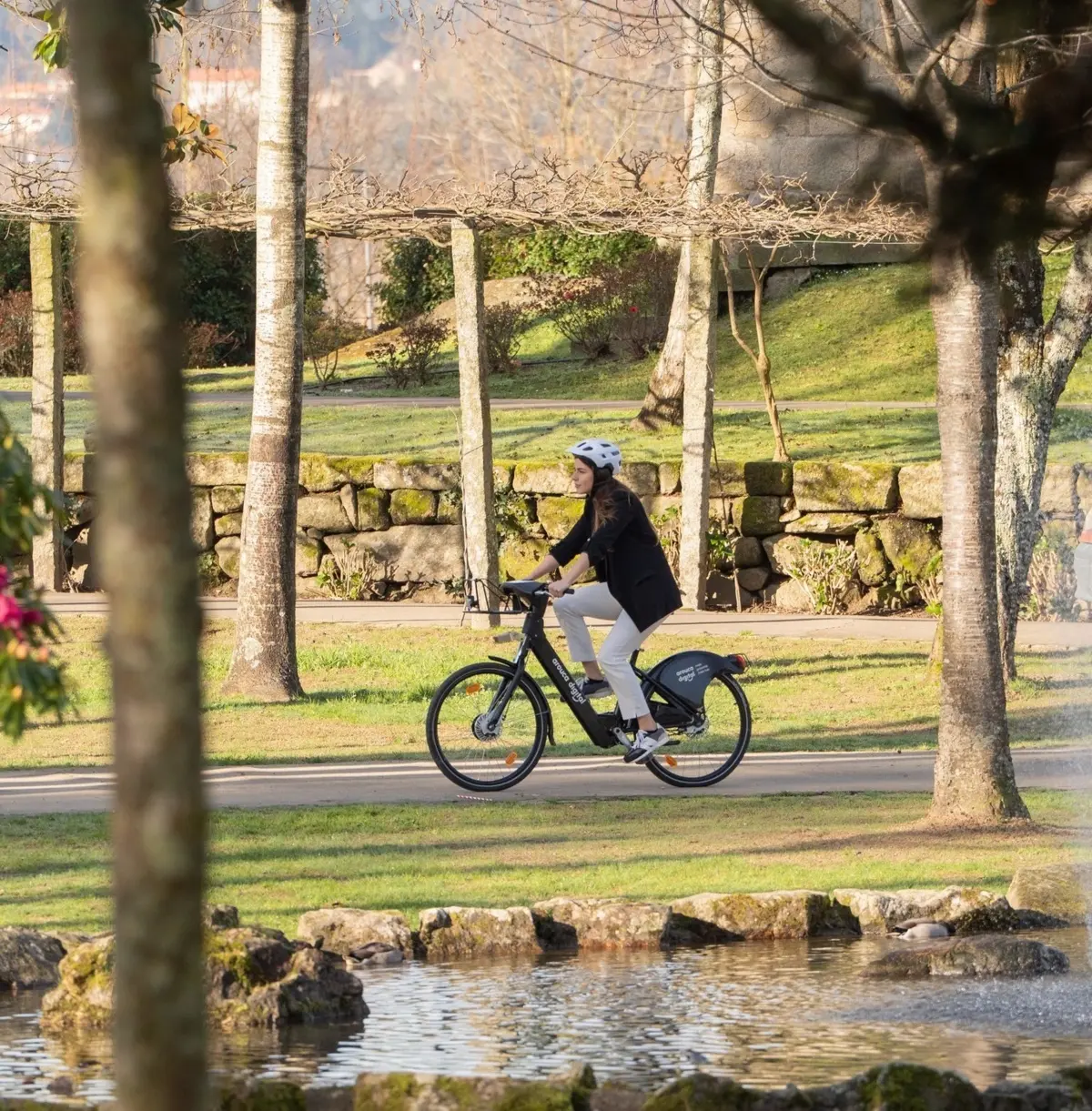 Regulamento está em discussão pública até 7 de novembro
