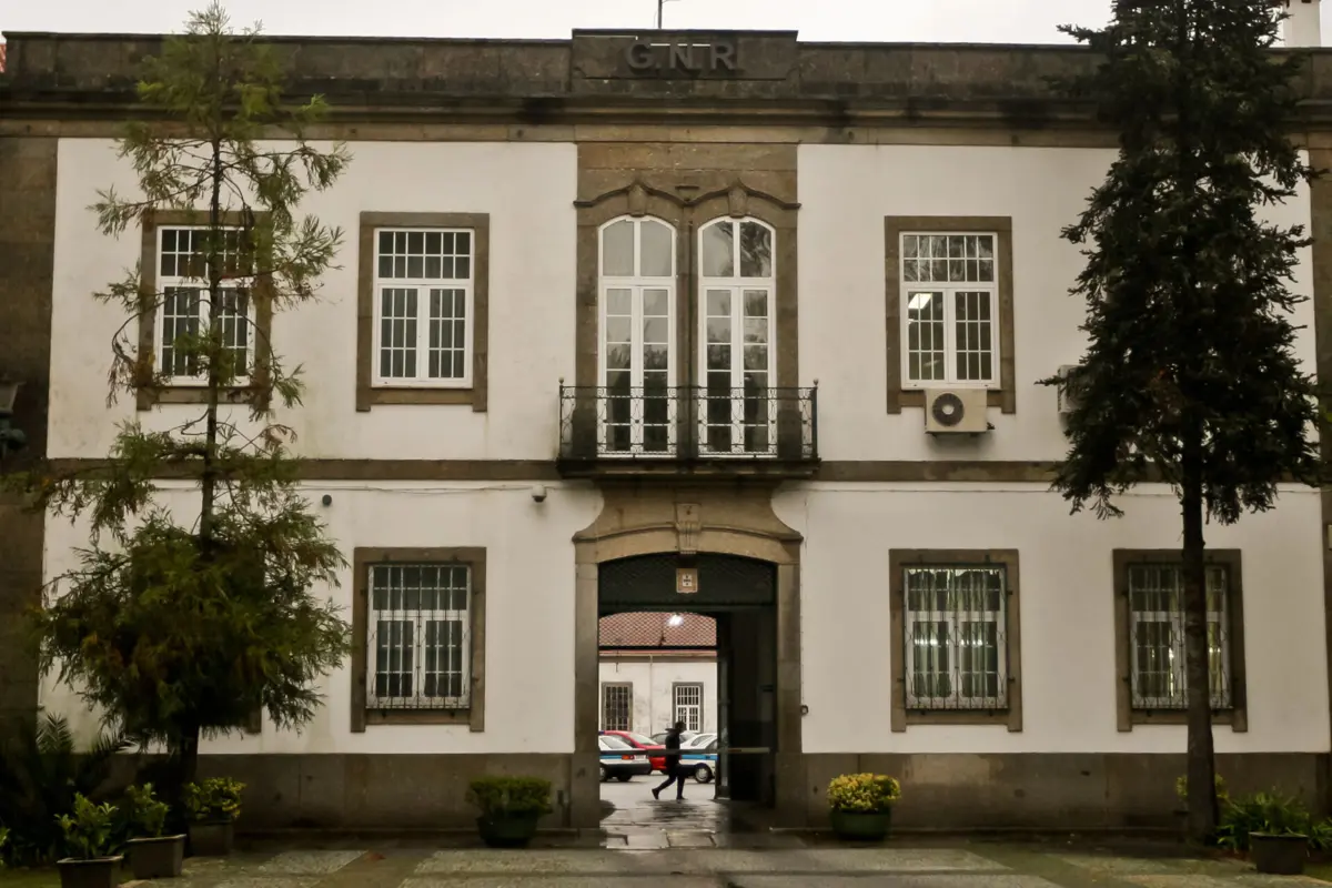 Cidadão entregou o papagaio no posto da GNR de Penafiel