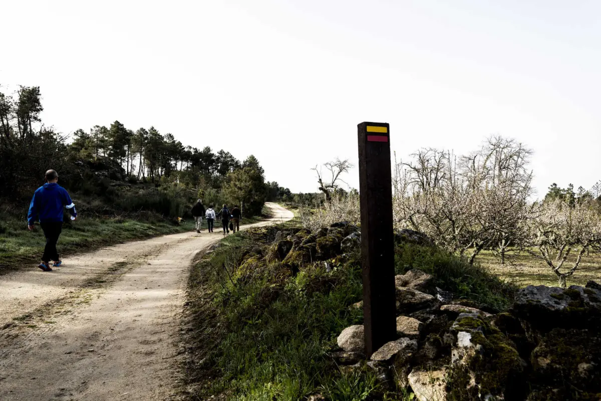 Porto de Mós assinala 20 anos de caminhadas com maior edição de sempre