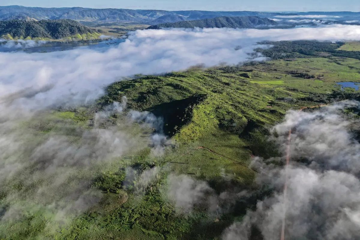 Imagem de contexto do artigo O corte de árvores abrandou, mas a Amazónia não está a salvo