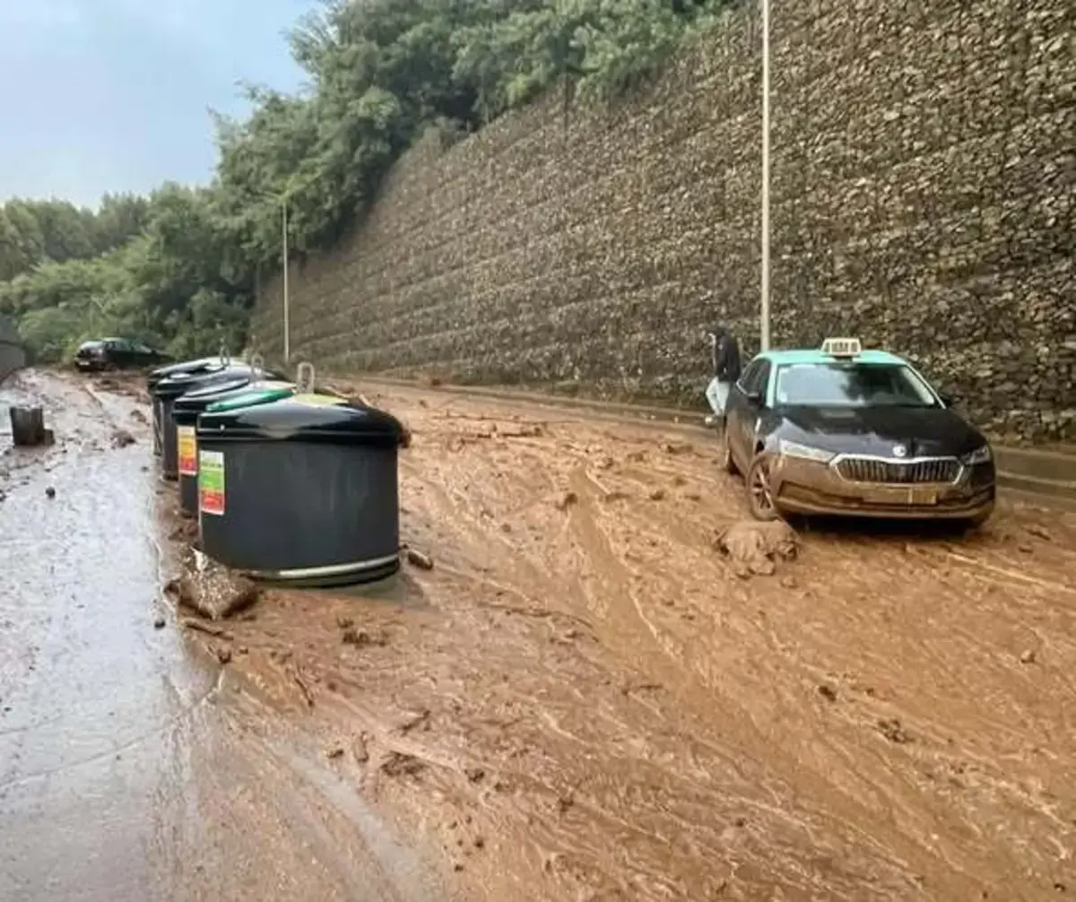 Presidente da Câmara de Vila Nova de Gaia culpa a Metro do Porto por estragos causados no concelho