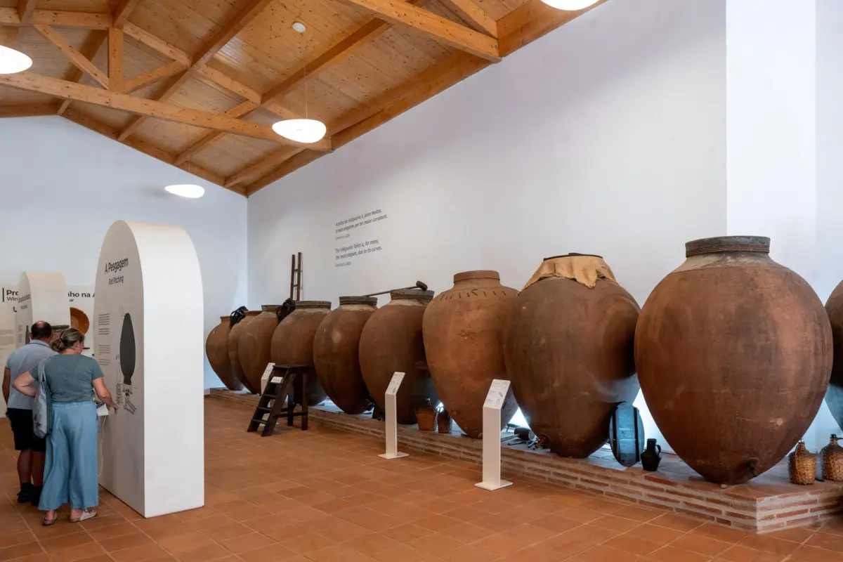 Centro Interpretativo do Vinho de Talha.