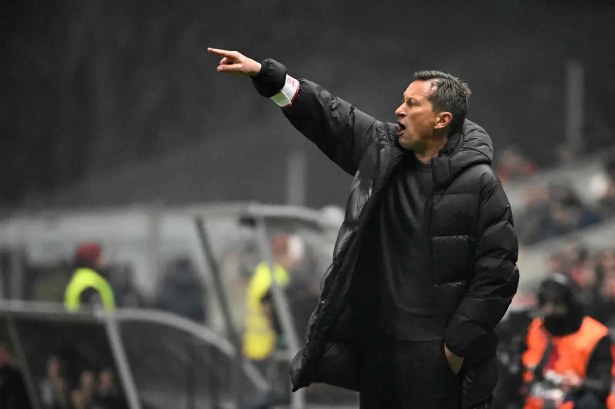 Roger Schmidt satisfeito com o apuramento para as meias-finais