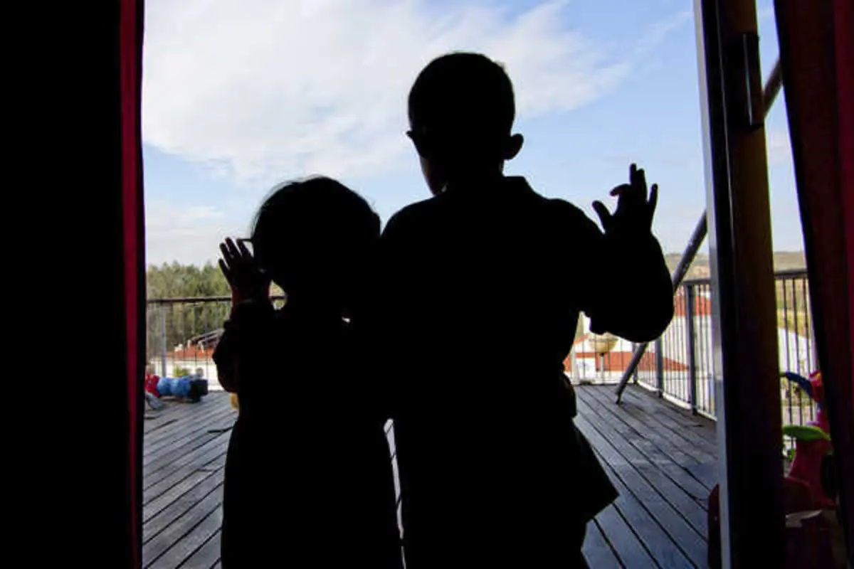 Em 2024, havia 388 famílias de acolhimento certificadas que permitiam ter 356 crianças a viver com essas famílias