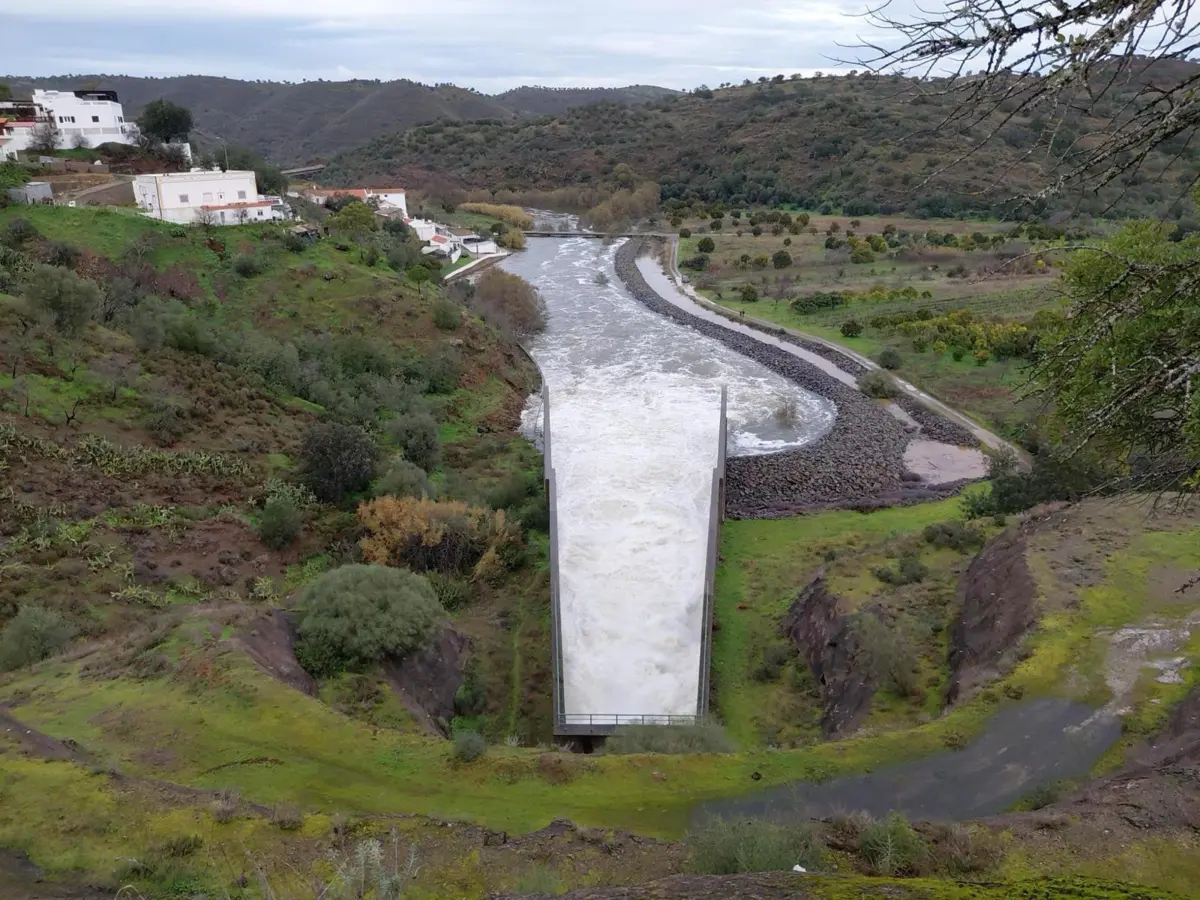 Decarregador de superfície de Odeliete