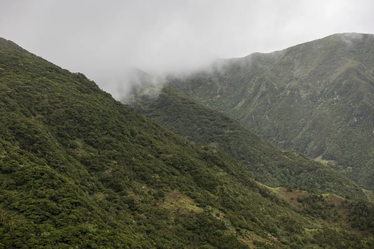 IPMA diz que temperaturas mínimas vão varias entre os 5ºC e os 7ºC