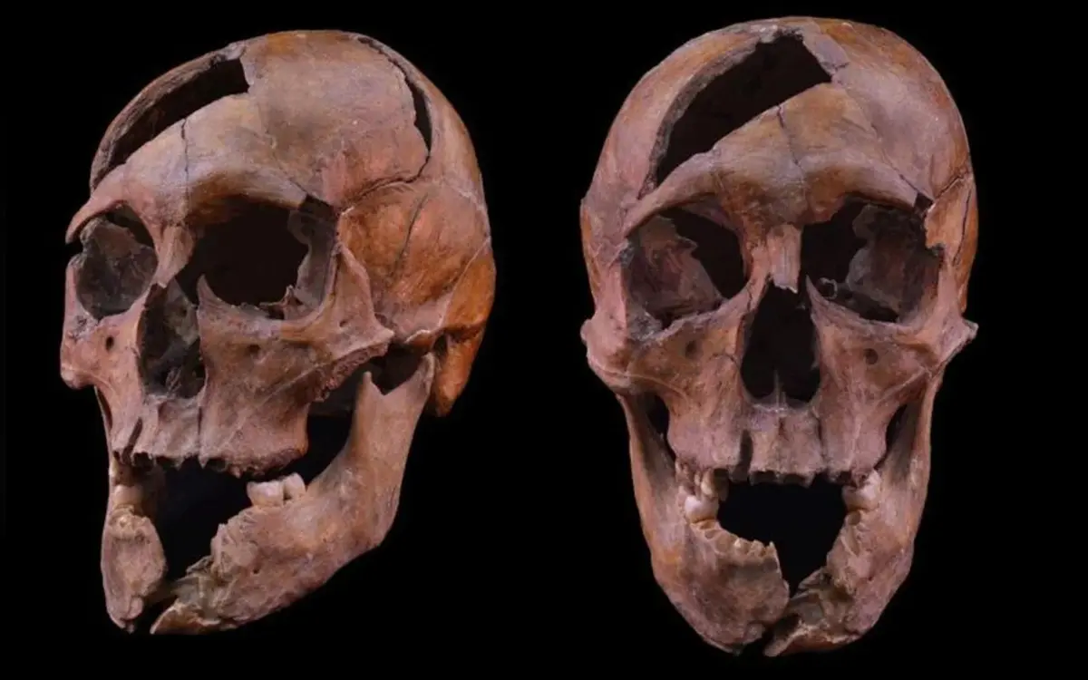 Imagem de contexto do artigo ADN resolve assassinato medieval de duque húngaro