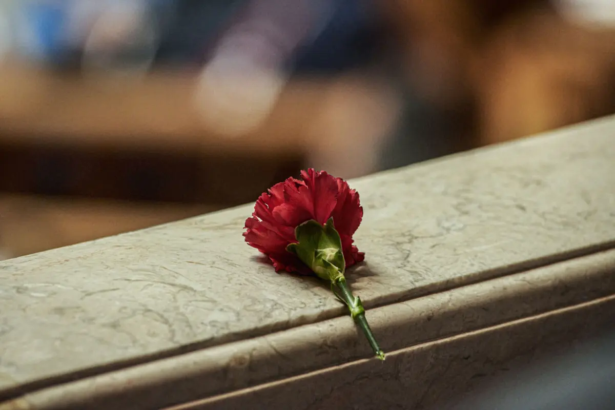 Parlamento abre portas para visitas gratuitas com exposições, teatro e música