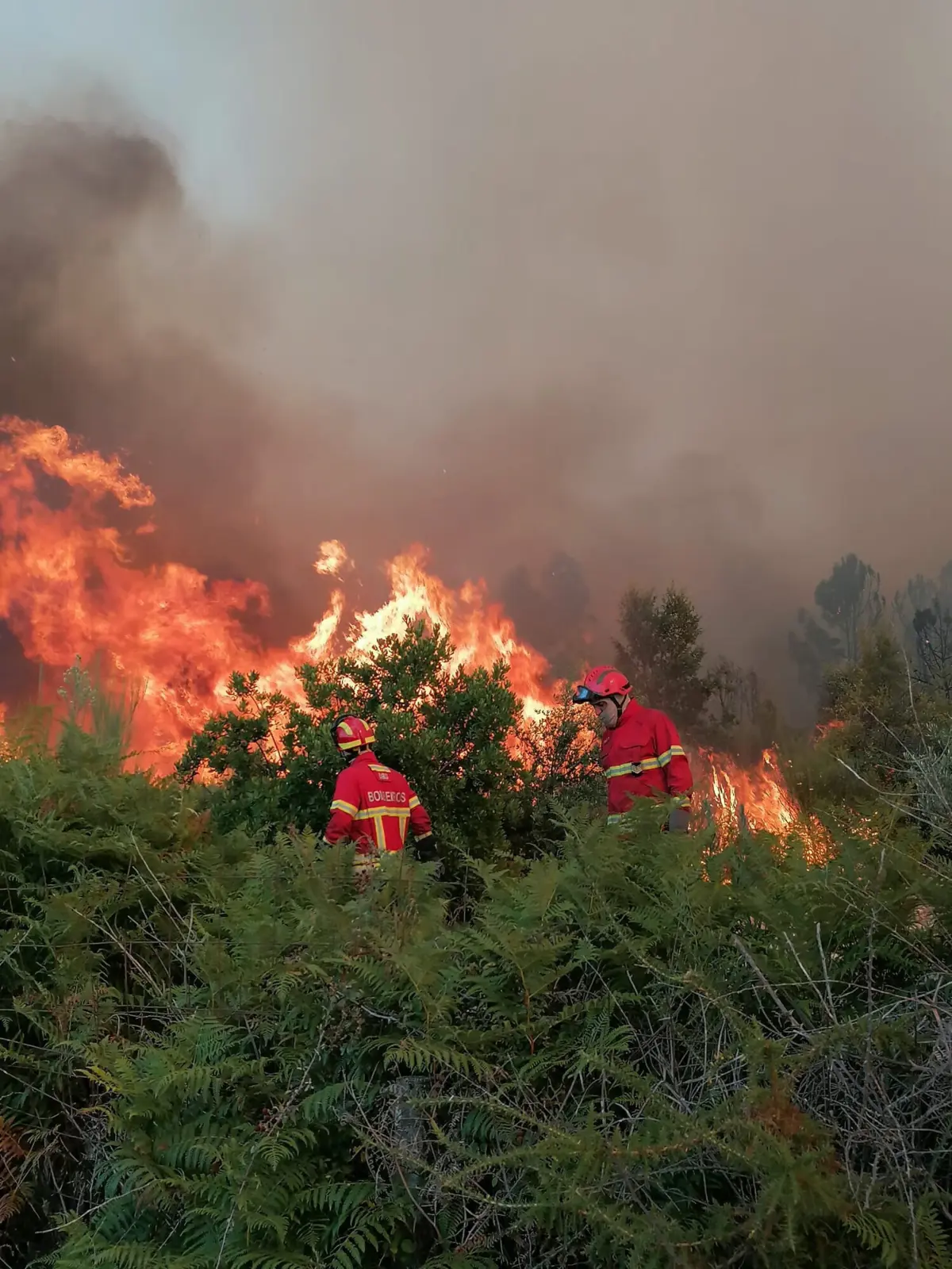 Vento complica trabalho dos bombeiros